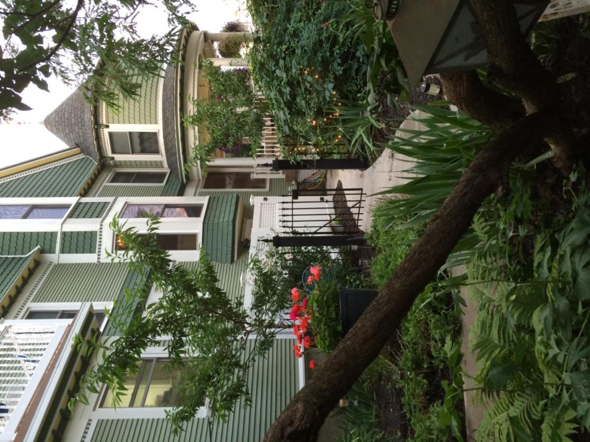 芒特普莱森特The Ginkgo Tree住宿加早餐旅馆 外观 照片