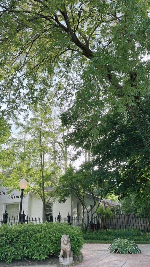 芒特普莱森特The Ginkgo Tree住宿加早餐旅馆 外观 照片