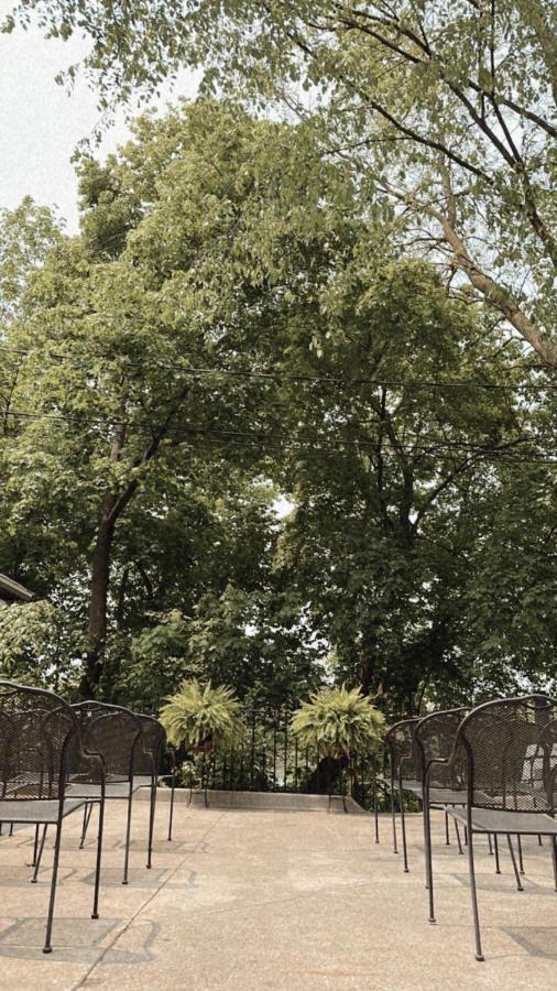 芒特普莱森特The Ginkgo Tree住宿加早餐旅馆 外观 照片
